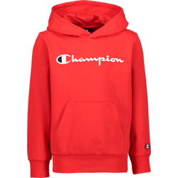 Champion hoodie outlet stadium outlet